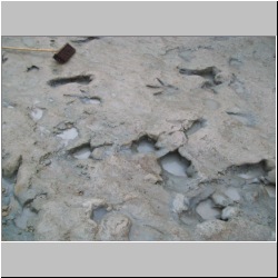 100_0626 (2009-27-07).JPG